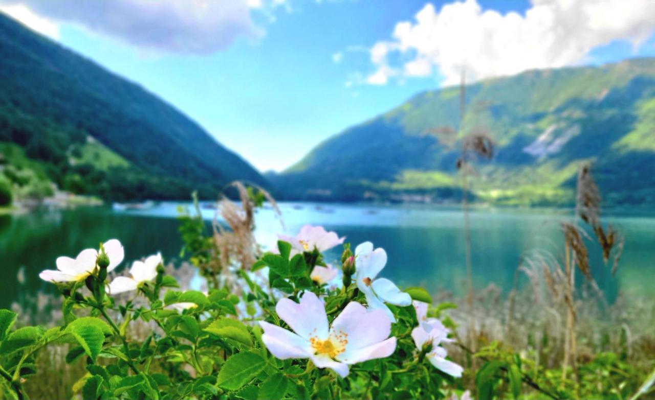 Emozioni Al Lago 费拉拉达尔帕戈 外观 照片